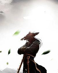 家有凶悍小夫郎晋江